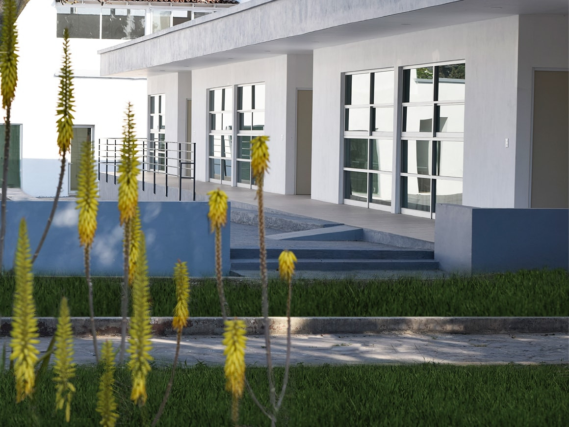 - Universidad Antropológica de Guadalajara