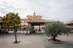 Universidad Católica de Murcia